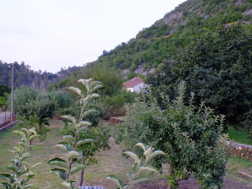Holiday Home Ivana Virpazar Szoba fotó